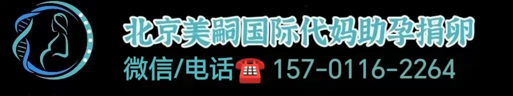 同性恋选择助孕还是抚养